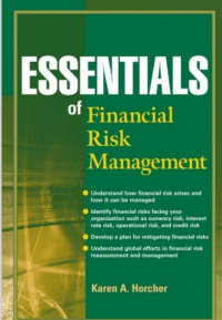 ESSENTIALS: of Financial Risk Management (E-Book)