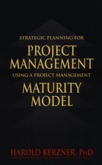 Strategic Planning For Project Management Using A Project Management Maturity Model (E-Book)